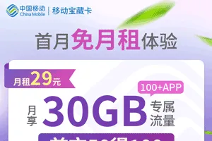 移动花卡宝藏版29元套餐介绍2023