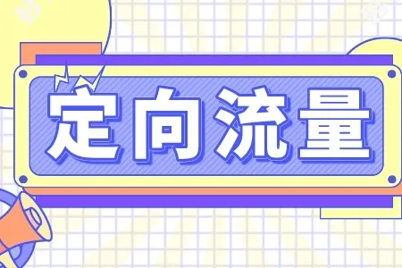 定向流量