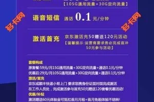 山东最划算流量卡套餐，电信小烧烤卡29元155G
