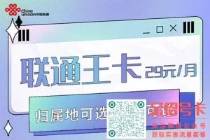 联通大王卡29元套餐介绍_联通王卡19月租申请入口