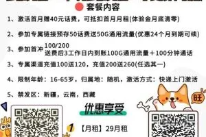 宁夏星卡29元流量版电信（附申请入口）