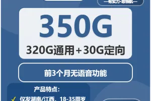 衡阳流量卡大全：2026年01月第1周湖南衡阳广电电话卡办理哪个最划算？