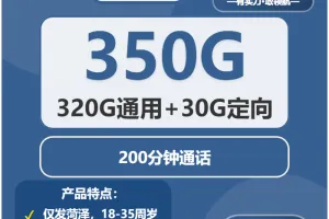 2026年02月上旬山东大流量套餐怎么选？山东大流量套餐推荐与办理攻略