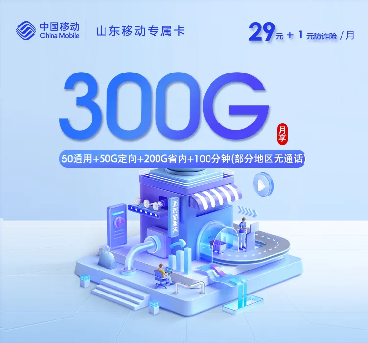 山东专属移动卡5.0【30元300G+100分钟】