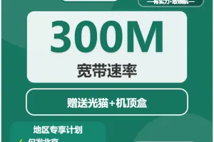2026年4月中旬北京流量卡办理：北京流量卡推荐与选择技巧