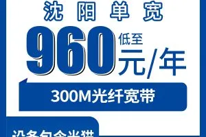 2026年7月中旬沈阳流量卡性价比高的套餐推荐，沈阳移动、广电、联通、电信流量卡大全