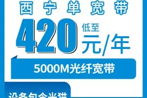 2026年9月下半月广东汕尾年龄宽松流量卡怎么选